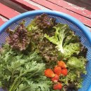 올림푸스펜션 이미지