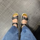 서초대로22길 16 | 8월 4주 차에 내가 뭘 했냐면...?!