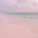 핑크비치 이미지