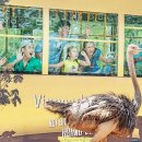 올인원투어 이미지