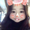 모범카공업사