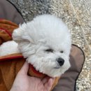 캠핑소리251 이미지