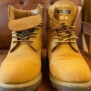 엘로우케어 이미지