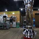 제주돈돼지 - 49363 | 제주돈돼지