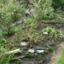 마로니에 하우스 이미지