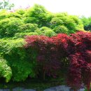 황룡강변2 이미지