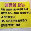 가조메밀칼국수