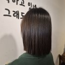 안산시 단원구 고잔동 미용실 5 비교 및 솔직 리뷰