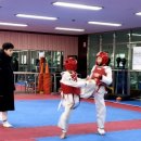 용인대석사 드림태권도장 네이버블로그