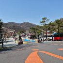 동산목장 | 가기 좋은 리조트) 증평 벨포레 리조트 미티어아트센터, 밤밤테이블, 양떼목장, 남도예담, 놀이동산 후기