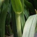 정읍휴게소(하) 이미지