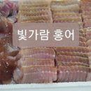 홍어회전문 이미지