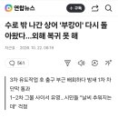 수로 밖 나간 상어 '부캉이' 다시 돌아왔다…외해 복귀 못 해 이미지