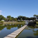 제주특별자치도지체장애인협회 서귀포시지회 이미지