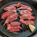 말한마리가든