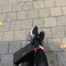 LG베스트샵 앞 횡단보도 이미지