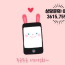 현대아미스(주)