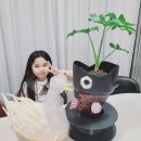 신가초교병설유치원 이미지