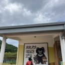 놀다가게 | 뱃지, 마그넷, 빈티지 피규어, 기념품 가득한 구례 소품 전문점 “놀다가게”+ 지리산국립공원 굿즈샵 ⛰️