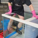 아리역로 2 이미지