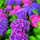 구미 다온숲화장실 이미지