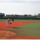 장안천야구장 이미지