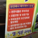 엘샤론 코리아 이미지