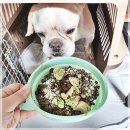 우프밀(woofmeal) 네이버블로그