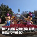 주주팜 | 대구 이월드 벚꽃현황, 자유이용권 할인방법 동물원 주주팜 후기