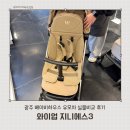 니카보카타이어할인천국 | 와이업 지니에스3 기내반입 휴대용 유모차 고민하고 있다면