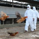 이종현농장 이미지