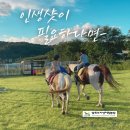 동승농장 이미지