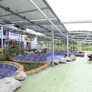 라별풀빌라 남해펜션 이미지