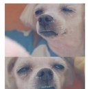 소중한eye 이미지