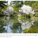 (주)크라운항공여행사 이미지