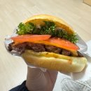 2.24 ~ 3.2 홀리데이 (3)