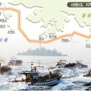 서해꽃게 이미지