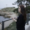 237플랫폼 이미지