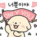 무무드 - 연제구 | 무무드