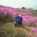 혈구산 고려산 (강화) 이미지