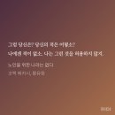 (주)코맥 | 어쩌면 모든 존재의 본질이란 조금씩 변두리로 밀려나는 것
