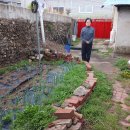 남부이용소 이미지