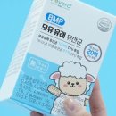 포베라(Povera) 이미지