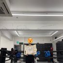 라이프복싱 방이역점 이미지