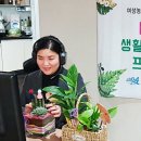 신안원예 이미지