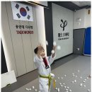 용인대윙스태권도장 이미지