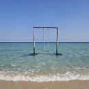 아이보리매직 이미지