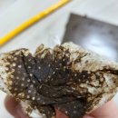 지구컴퓨터크리닝 이미지