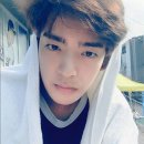 신지운 카카오 검색결과