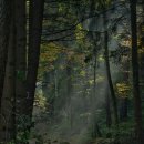 소풍(동행) 이미지